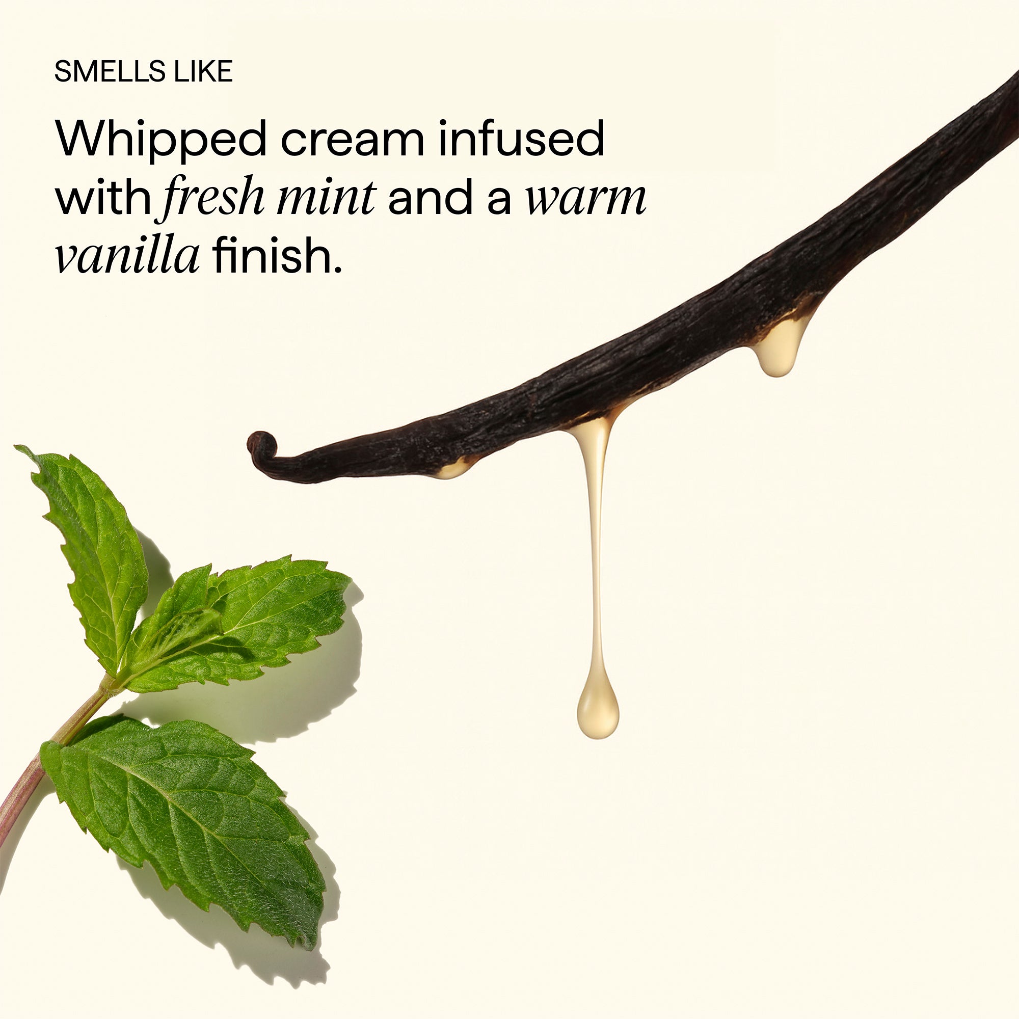 Scalp Revival™ Dandruff Relief Shampoo with Charcoal + 3% Salicylic Acid - Briogeo