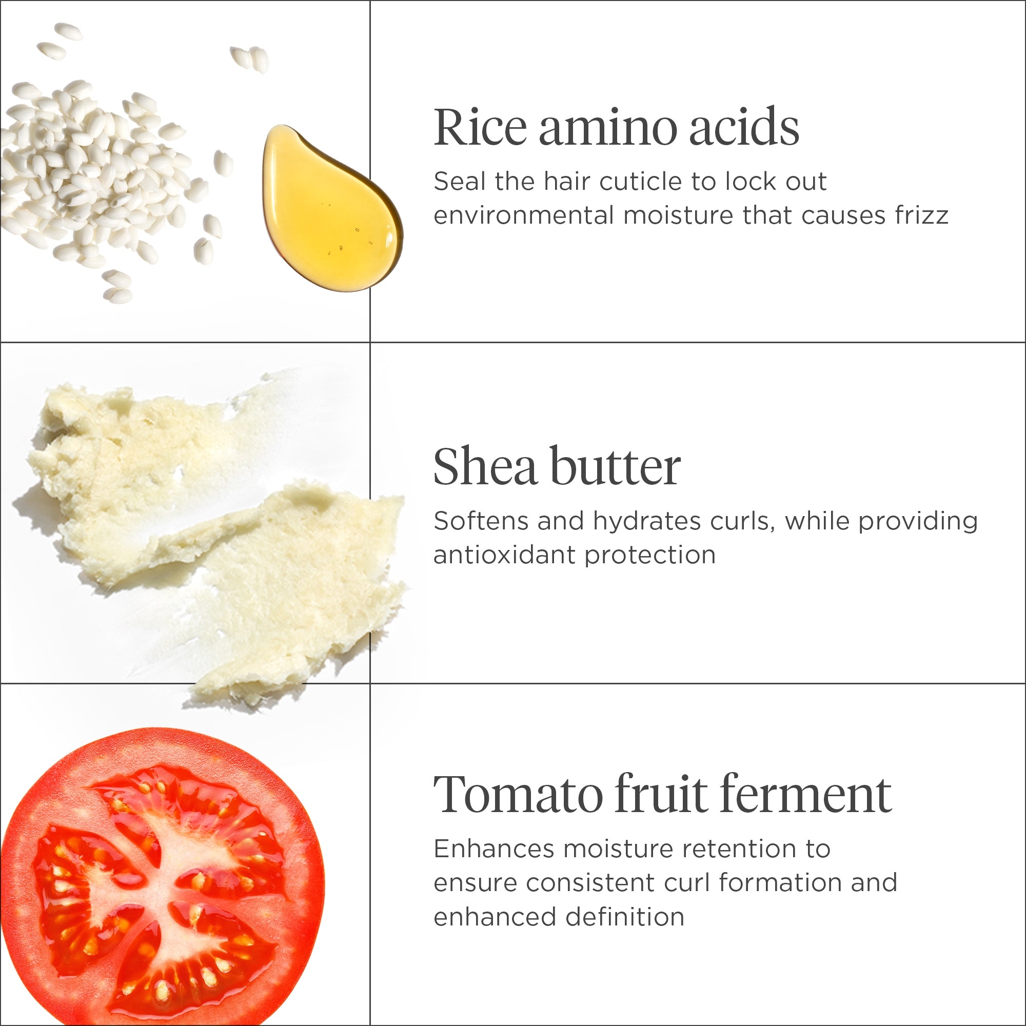 Curl Charisma Rice Amino + Shea Curl Defining Conditioner - Briogeo