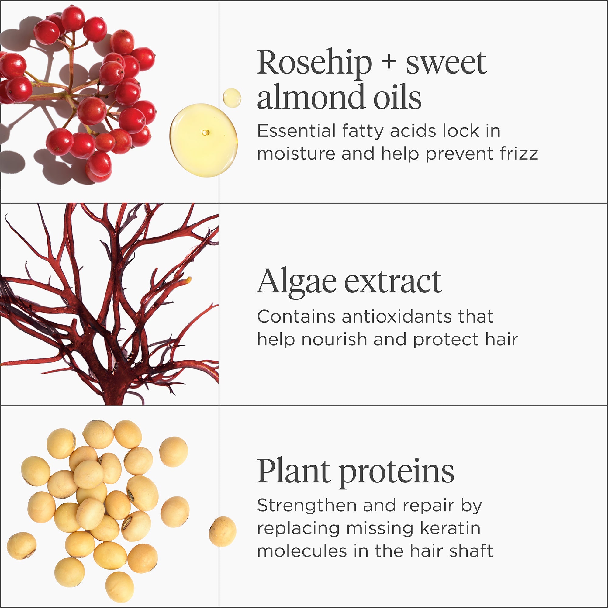 Don’t Despair Repair!™ Deep Conditioning Mask - Briogeo